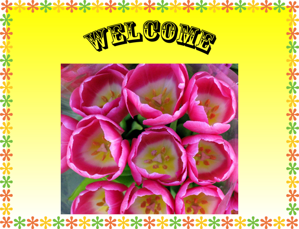 Presentation Helper (Image ID:60-004)